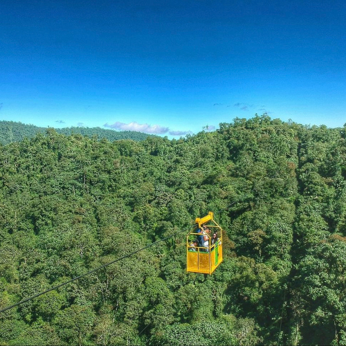 Person ziplining high above the forest canopy