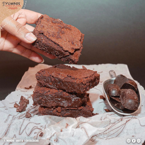 Hands holding raw cacao pods for chocolate making